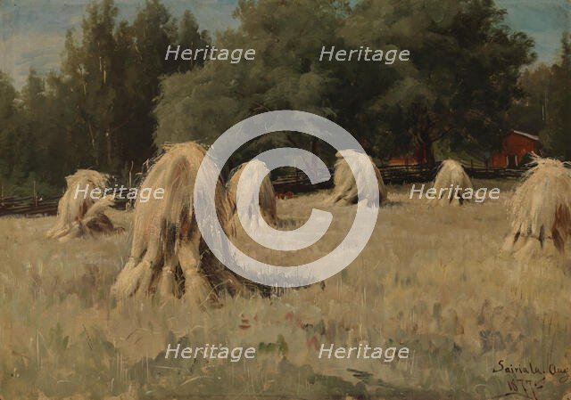 Stacks of Rye, 1877. Creator: Hjalmar Munsterhjelm.