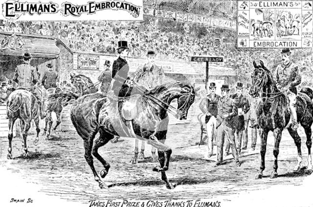 Advertisement for Elliman's Royal Embrocation, 1895. Creator: Joseph Swain.