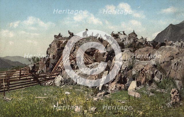 Altai Dwelling (Chaadyr), Katun River Valley, 1911-1913. Creator: Sergei Ivanovich Borisov.