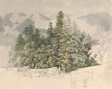 Alpine Landscape. Creator: Friedrich Salathe.
