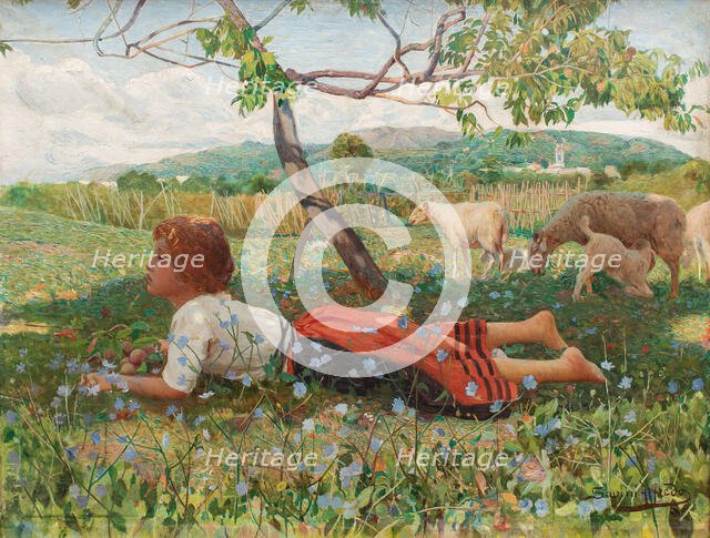 La raccolta delle albicocche (Die Aprikosenernte). Creator: Savini, Alfredo (1868-1924).