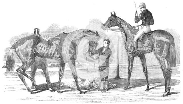 The Doncaster Winners: St. Leger - "Knight of St. George"; Doncaster Cup - "Virago", 1854. Creator: Unknown.