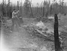 Family work clearing land by burning, near Bonners Ferry, Boundary County, Idaho, 1939. Creator: Dorothea Lange.