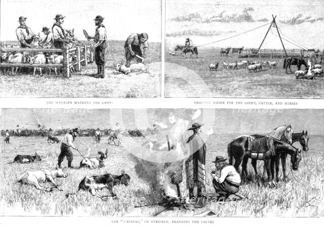 ''Sketches of Life on an Estancia in the Argentine Republic; work on the Pampas', 1891. Creator: Unknown.
