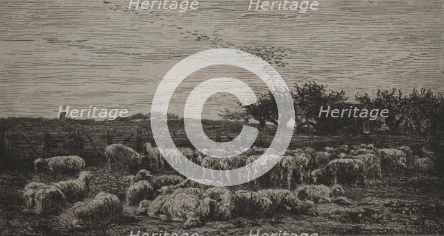 The Large Sheep-Fold, 1860. Creator: Charles François Daubigny (French, 1817-1878); Cadart.