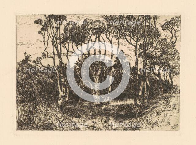 Solitude, 1880. Creator: Mary Nimmo Moran.