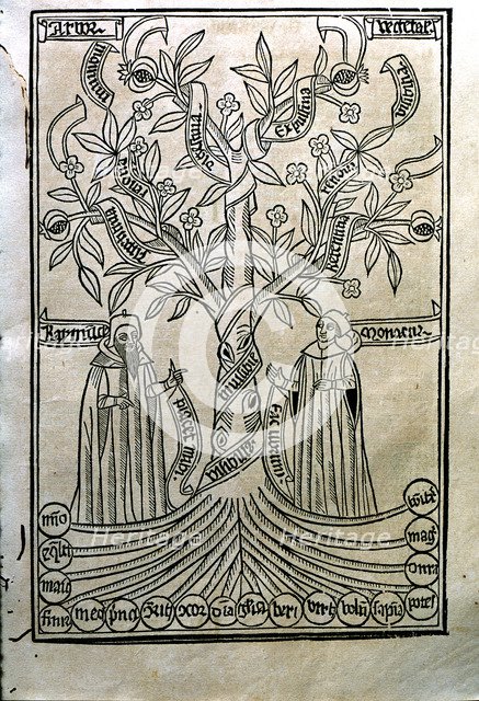 Engraving of a tree in the work 'Arbor Scientiae' (Science Tree) copy printed in Barcelona in 150…