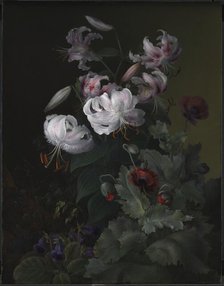 Flowering plants, 1845. Creator: Hermania Neergaard.