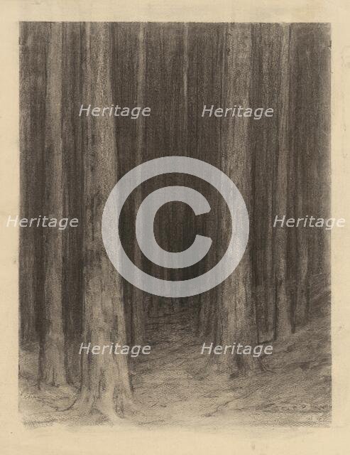 Forest twilight, around 1930. Creator: Ludovit Cordak.