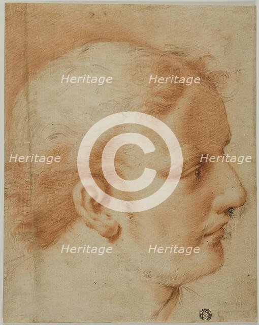 Head of Young Man, in Profile to Right, n.d. Creator: Unknown.