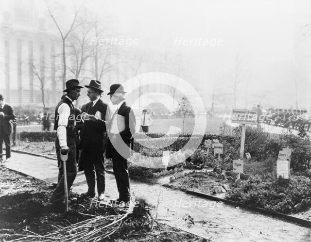 City experiment in gardening, New York City, c1922. Creator: Frances Benjamin Johnston.