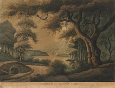 The Lovers Oak near Delville Castle, late 18th century? Creator: Sarah Broome.