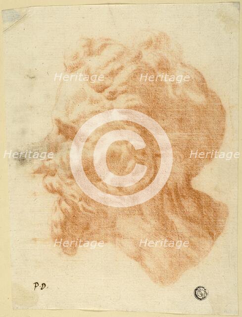 Head of Bearded Man in Profile to Left, n.d. Creator: Pietro Dandini.