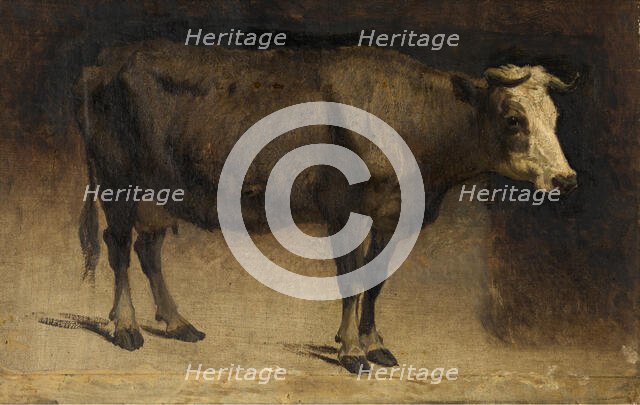 Cow, c1870s. Creator: Andre Plumot.