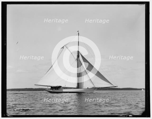 Milicete, between 1890 and 1899. Creator: Unknown.