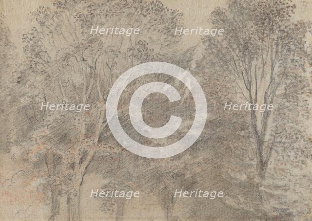 Treetops [verso]. Creator: Jean-Antoine Watteau.