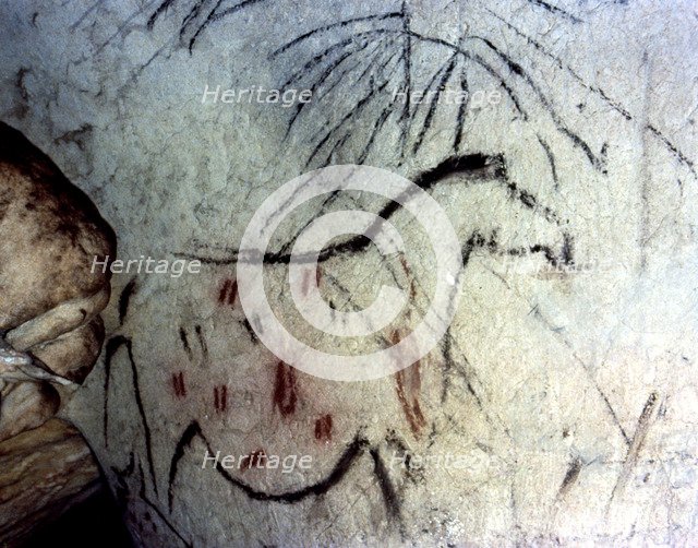 La Pileta Cave (Malaga), figure of a horse with legs unfinished and limited to the trace of the p…