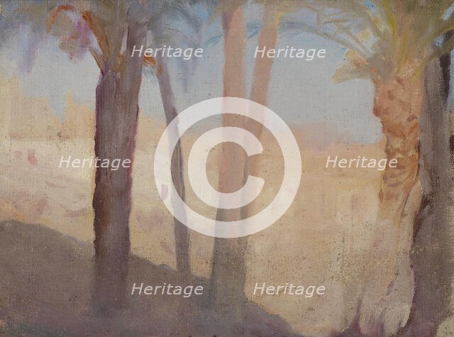 Spain (Elche), 1899. Creator: Jan Ciaglinski.