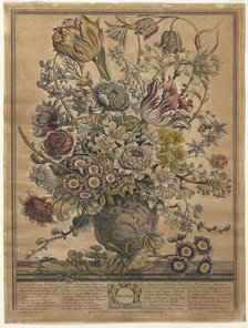 Twelve Months of Flowers: March, 1730. Creator: Henry Fletcher (British, active 1715-38).