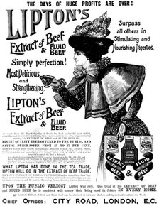 Advertisement for Lipton's Extract of Beef & Fluid Beef, 1898. Creator: Unknown.