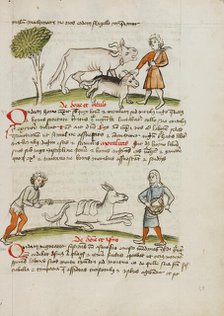 A Farmer with an Ox and Calf: A Man Hitting a Donkey: A Man..., third quarter of 15th century. Creator: Unknown.