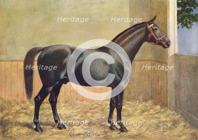Yorkshire Coach Horse stallion Crown Prince, 1902 (c1910). Artist: Henry Powell Palfrey.