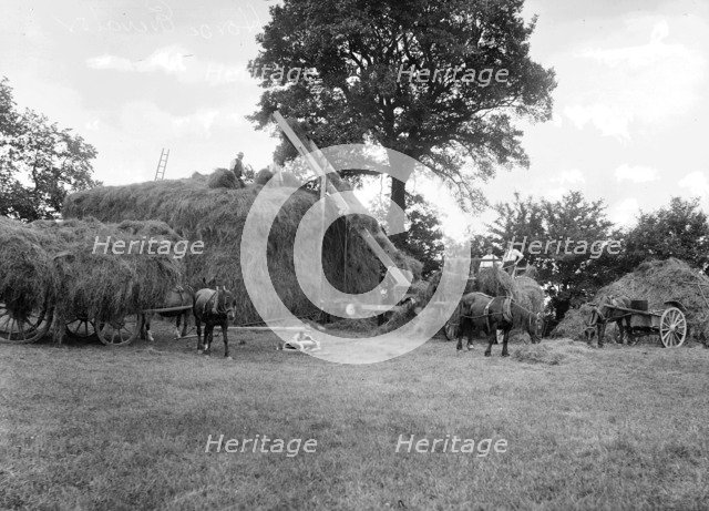 Men piling hay using a horse powered elevator, Stanford in the Vale, Oxfordshire, c1860-c1922. Artist: Henry Taunt