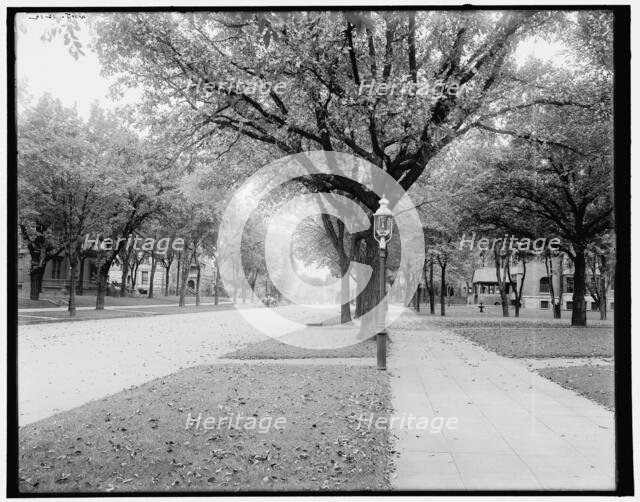 Summit Ave., St. Paul, Minn., c1902. Creator: William H. Jackson.
