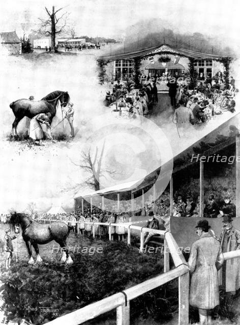 Sale of shire horses at the Prince of Wales's Stud-Farm, Wolferton, 1898. Creator: Unknown.