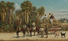 The Cotton Wagon, 1880s.