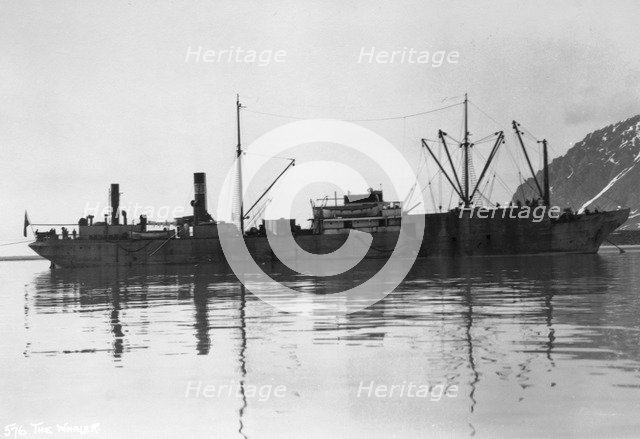 A whaler, Magdalene Bay, Spitzbergen, Norway, 1929. Artist: Unknown