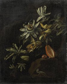 Still Life with Passionflowers, 1670-1708. Creator: Elias Van Den Broeck.