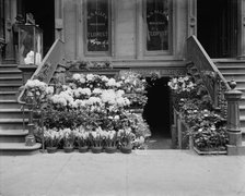 An Easter floral display, New York, between 1900 and 1910. Creator: Unknown.