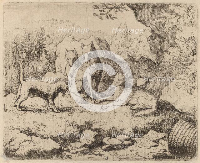 The Cat Sent as Messenger, probably c. 1645/1656. Creator: Allart van Everdingen.