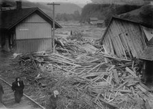 RR Station, Costello, After Flood, between c1910 and c1915. Creator: Bain News Service.