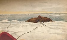 'Walruses Killed Off The East Coast of the Taimyr Peninsula, 12th September 1893, (1897). Artist: Fridtjof Nansen.