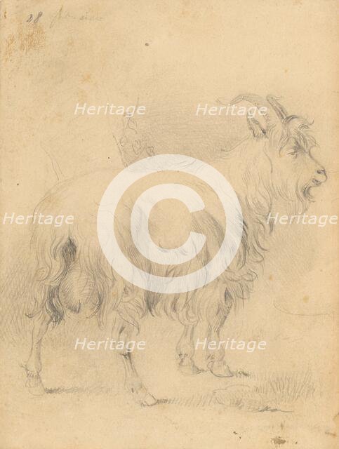 Drawing II., 1850/1857. Creator: Frantisek Belopotocky.