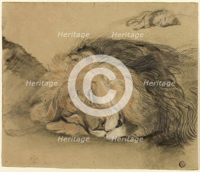 Lion's Head and Sketch of a Lion, n.d. Creator: Charles Edme Saint-Marcel-Cabin.