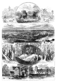 Sketches in Epping Forest, 1871. Creator: Unknown.