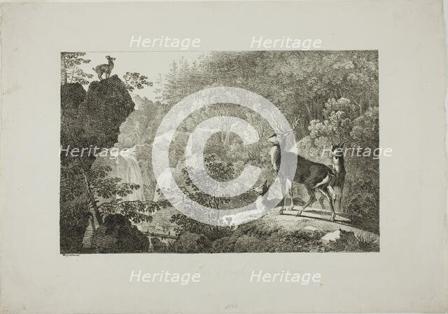 The Stag and the Chamois, n.d. Creator: Max Josef Wagenbauer.