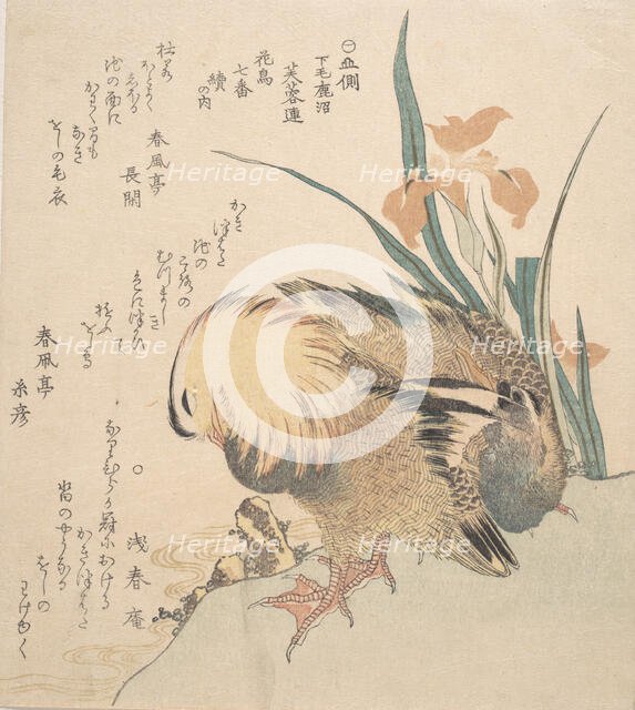 Pair of Mandarin Ducks and Iris Flowers, late 18th-early 19th century. Creator: Kubo Shunman.