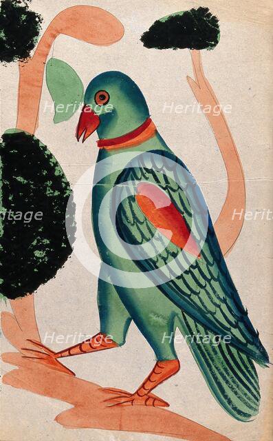 A hoopoe. Creator: Unknown.