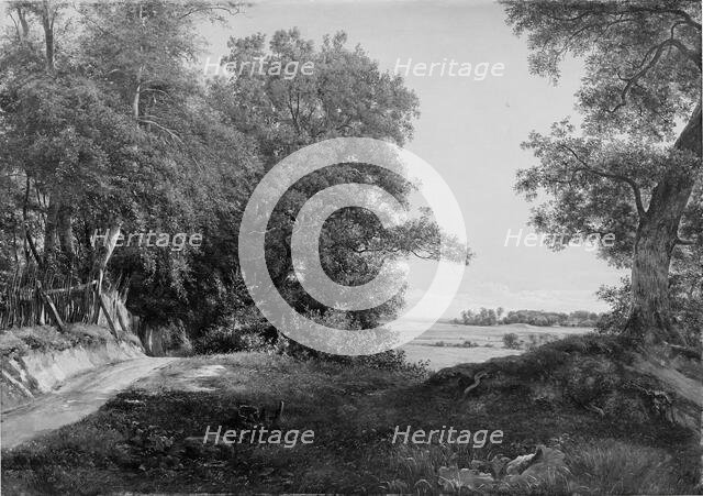 A Summer Morning beside the Deer Park Fence in Ordrup Spinney, North of Copenhagen, 1855. Creator: Thorald Brendstrup.