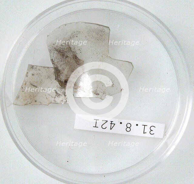 Glass Fragments, Coptic, 4th century. Creator: Unknown.