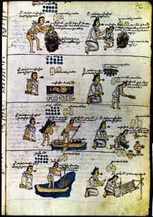 Codex Mendoza (1535 - 1550), hieroglyphic depicting Aztec methods of education... Creator: Unknown.
