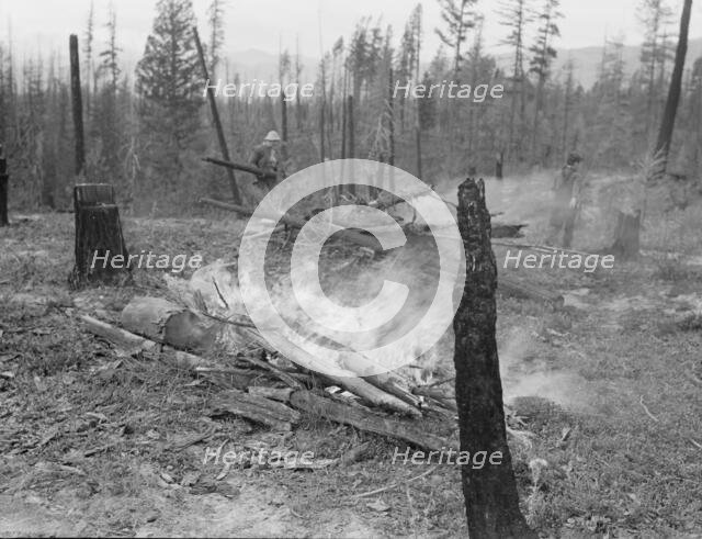 Family work clearing land by burning, near Bonners Ferry, Boundary County, Idaho, 1939. Creator: Dorothea Lange.