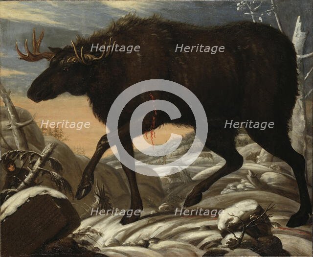 Moose, c17th century. Creator: David Klocker Ehrenstrahl.