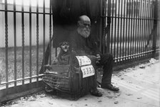 Beggar, Hoboken, between c1910 and c1915. Creator: Bain News Service.