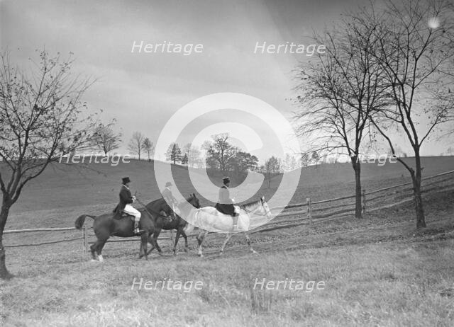 Cutting hunt, 1933 Nov. Creator: Arnold Genthe.