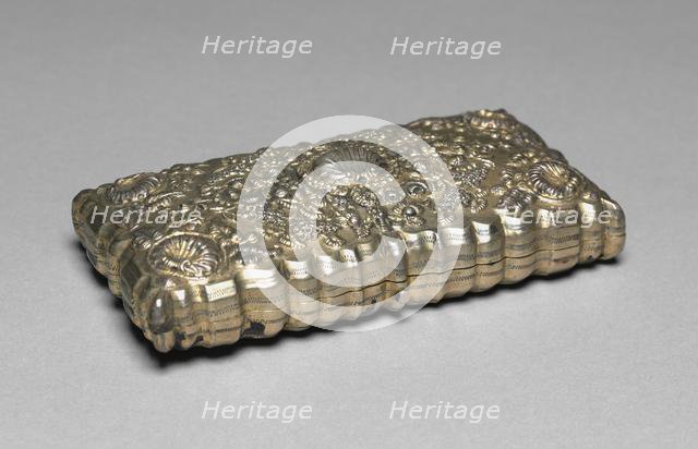 Cigar Case, 1800s. Creator: Unknown.